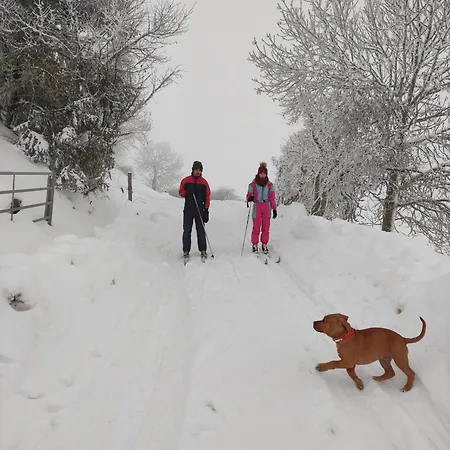 Holiday home La Forge Rezentieres