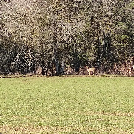 Holiday home La Forge