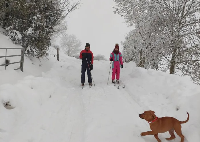 Дом отдыха La Forge Rezentieres