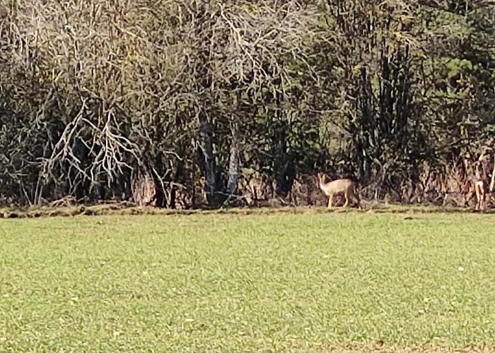 Дом отдыха La Forge